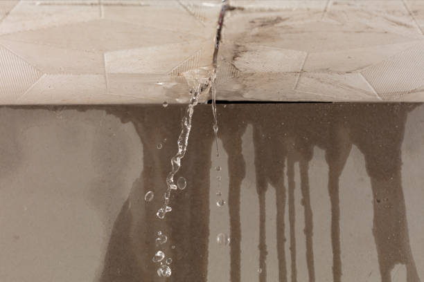 Professional Water Damage Repair technician working in Canfield, OH